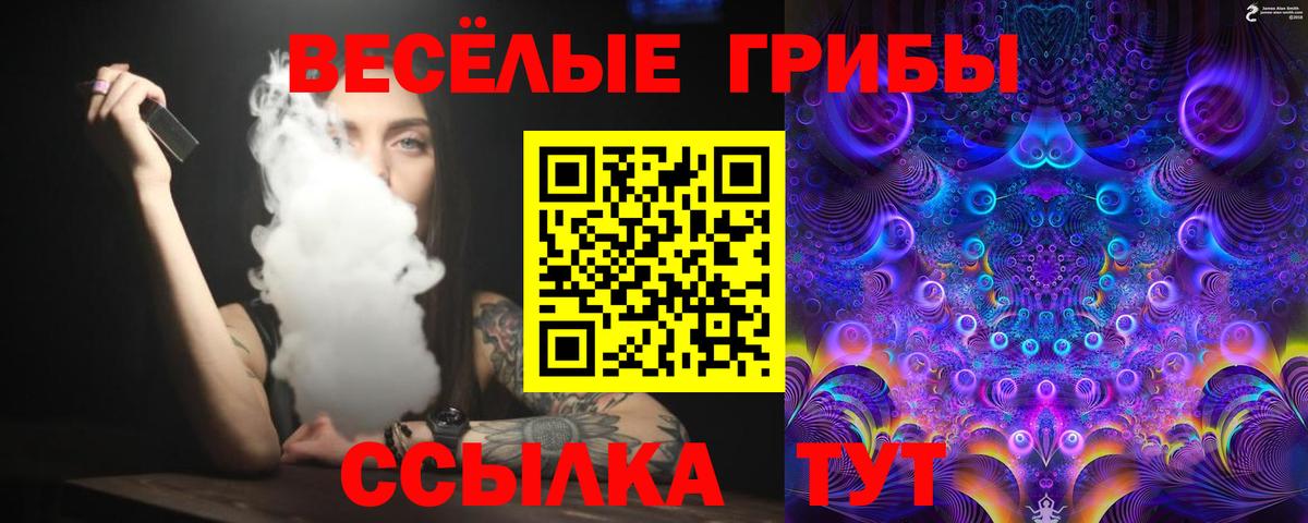Галлюциногенные грибы Psilocybe  Псилоцибиновые грибы Cubensis  Вход с VPN  Алапаевск 